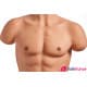 Torso homme 100cm IronTech