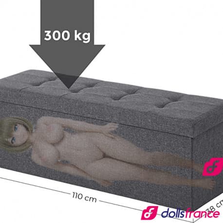 Coffre de rangement pour mini doll