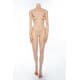 Corps silicone 163cm petite poitrine Xycolo