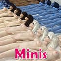 Mini-dolls