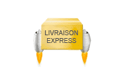 livraison express