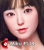 Miku S14