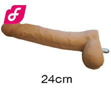 24 cm