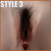 Style 3