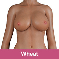 Bronzée (wheat)