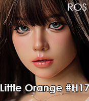 Little Orange #H17 ROS