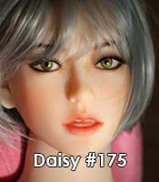 Daisy #175